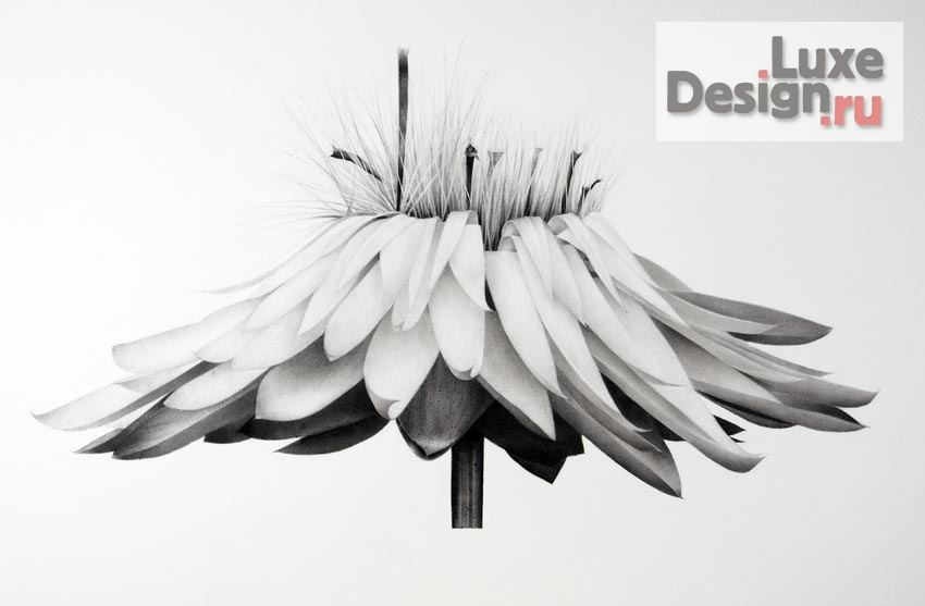 Дизайн интерьера спальни "Спальная в стиле "Tiffani"." (фото 4)