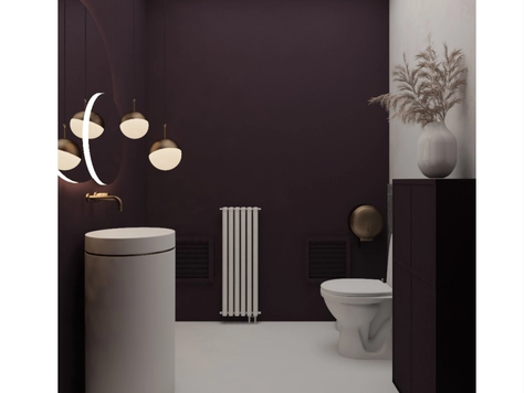 Дизайн интерьера ванной в Красноярске "Визуализации гостевого сан узла со сложным пурпурным оттенком стен"
